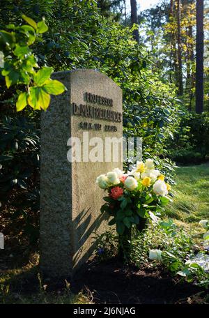 02. Mai 2022, Brandenburg, Stahnsdorf: Blumen stehen vor dem Denkmal für den Musikwissenschaftler Max Friedlaender im Südwestkirchhof vor einem Stein mit der Aufschrift „Professor Dr. Max Friedlaender“. Foto: Soeren Sache/dpa Stockfoto