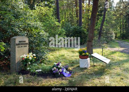 02. Mai 2022, Brandenburg, Stahnsdorf: Blumen stehen vor dem Denkmal für den Musikwissenschaftler Max Friedlaender im südwestlichen Kirchhof vor einem Stein, der hinter einer erklärenden Gedenktafel mit der Aufschrift „Professor Dr. Max Friedlaender“ beschriftet ist. Foto: Soeren Sache/dpa Stockfoto