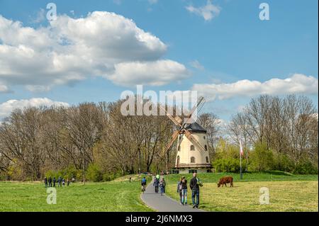 Radfahrer bei der Gohliser Mühle am Elberadweg, Dresden, Sachsen, Deutschland Stockfoto