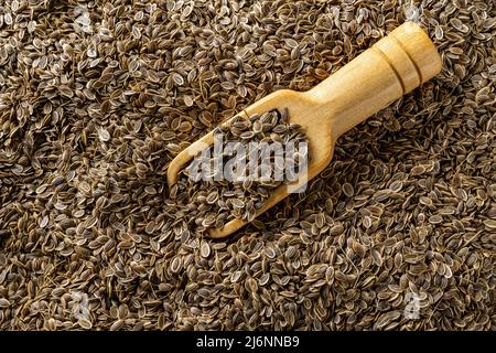 Ganze Dillsamen in einer Holzlöffel vor dem Hintergrund der Samen Nahaufnahme. Bio-Früchte von anethum graveolens für die Kräutermedizin. Gewürze und Gewürze. Stockfoto