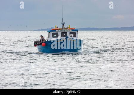 Touristen Unternehmen im April eine Bootsfahrt um die Farne Islands an Bord der Frohe Botschaft IV Fähre, um die Vögel und Robben in Northumberland, Großbritannien, zu sehen Stockfoto