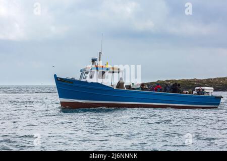 Touristen Unternehmen im April eine Bootsfahrt um die Farne Islands an Bord der Frohe Botschaft IV Fähre, um die Vögel und Robben in Northumberland, Großbritannien, zu sehen Stockfoto