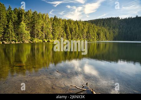 Schöner See Certovo jezero im Böhmerwald, Tschechien. Stockfoto