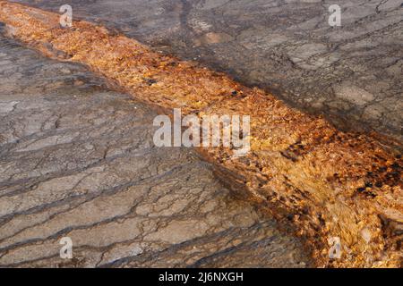 Klassische Landschaften der USA - das Yellowstone Tectonic Basin. Stockfoto