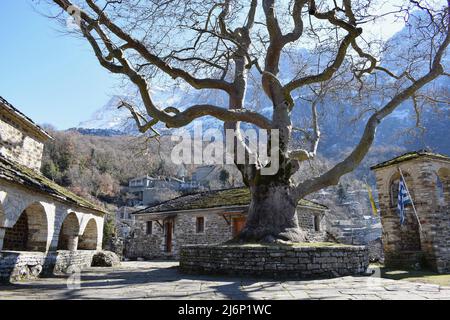 Winterlandschaft in einem malerischen traditionellen Dorf namens Mikro Papigo (oder Papingo) in Epirus, Griechenland. Ein schöner Baum außerhalb der Kirche Taxiarches Stockfoto