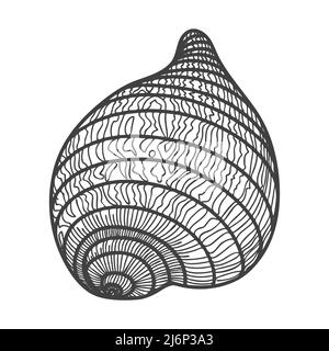 Handgezeichnete Muscheln. Leere spiralförmige feste Schale einer Muschel oder Schnecke. Skizzenstil, gravierte Zeichnung. Schwarz-weiße Illustration isoliert auf einer weißen BA Stock Vektor