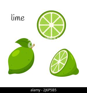 Ganze Limette mit Blättern, halb und in Scheiben schneiden. Symbol für Zitrusfrüchte. Flaches Design. Auf weißem Hintergrund isolierte Darstellung von Farbvektoren Stock Vektor