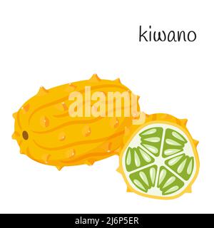 Ganze Kiwano in der Haut und die Hälfte mit Samen und Fruchtfleisch schneiden. Exotische, tropische Frucht-Ikone. Tropische Gurke. Flacher Style. Farbe Vektor Illustration isola Stock Vektor