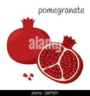 Einen ganzen Granatapfel und eine Hälfte mit Samen abgeschnitten. Exotische Fruchtikone. Flacher Style. Auf weißem Hintergrund isolierte Darstellung von Farbvektoren Stock Vektor