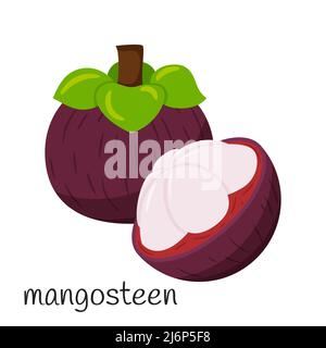 Ganze Mangostan und die Hälfte ohne Haut. Flacher Style. Exotische, tropische Frucht-Ikone. Auf weißem Hintergrund isolierte Darstellung von Farbvektoren Stock Vektor