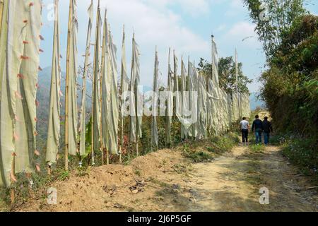 Eine Reihe von weißen hohen Gebetsfahnen auf Stangen, Pala Busty, Kalimpong West Bengalen Indien Stockfoto