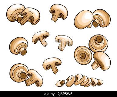 Handgezeichnete Champignons. Pilze im flachen Stil mit Umriss sind auf weißem Hintergrund isoliert. Ganz, geschnitten, Scheiben, Hälften. Farbvektor illustrr Stock Vektor