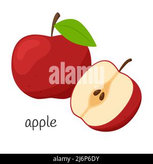 Ganzer Apfel und halb mit Samen. Apfel halbiert. Flacher Style. Fruchtsymbol. Auf weißem Hintergrund isolierte Darstellung von Farbvektoren Stock Vektor