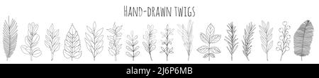 Eine Reihe von Blättern und Zweigen von Hand gezogen. Botanische Dekorationselemente für die Gestaltung von Artikeln, Zeitschriften, Rezepten und Menüs. Schlichtes schwarz-weißes ve Stock Vektor