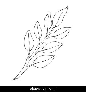 Ein Zweig von Pflanzen mit Blättern auf dem Stamm. Botanisches Zierelement. Einfache Schwarz-Weiß-Vektordarstellung, von Hand gezeichnet, isoliert auf einem Weiß Stock Vektor