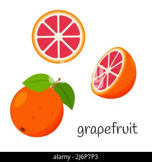 Ganze Grapefruit mit Blättern, halbieren und in Scheiben schneiden. Symbol für Zitrusfrüchte. Flaches Design. Auf weißem Hintergrund isolierte Darstellung von Farbvektoren Stock Vektor