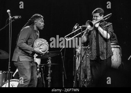 Die Afro-Funk-Band Antibalas tritt im Lee’s Palace in Toronto, Kanada, auf. Stockfoto