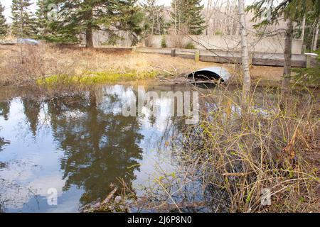 Rohrleitung unter Straße von Stream Oxbow im Park Stockfoto