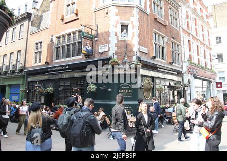 Shakespeare's Head Public House 'Pub' an der Ecke Carnaby Street und Foubert's Place, London W1, England, UK, 2022 tagsüber Stockfoto