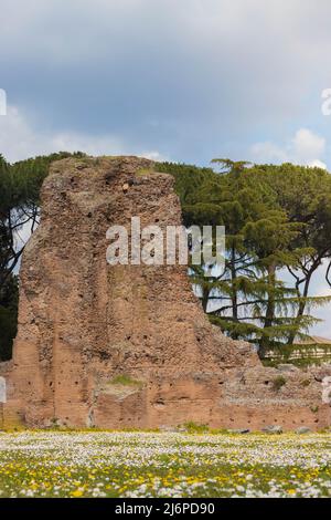 Römische Ruinen auf dem Palatin, umgeben von Natur, Bäumen und Blumen in der Nähe des Kolosseums in Rom, Italien Stockfoto