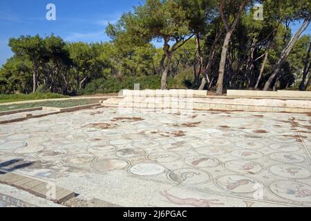 Vogelmosaik, antiker byzantinischer Palastmosaikboden in Caesarea, Israel Stockfoto