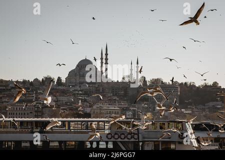 Istanbul Silhouette und Möwen bei Sonnenuntergang, Suleymaniye Moschee, Türkei Stockfoto