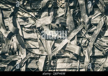 Abstrakte echte Foto Schönheit verwischen Hintergrund. Haufen Haufen Haufen Stapel lang eng lassen Natur trocken Material Müllhaufen. Speicherplatz kopieren. Labyrinth Leben Verwirrung Stockfoto