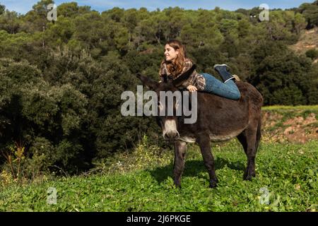 Eine junge Frau, die auf einem Esel ruht und auf einer Wiese wegschaut Stockfoto