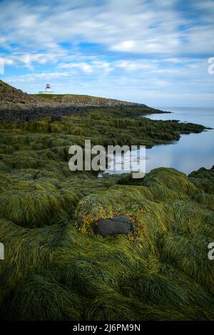 Kanada; Maritimes; Digby County; Bay of Fundy, Brier Island, Grand Passage Lighthouse Stockfoto