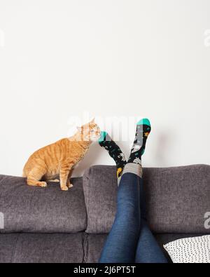 Katze neben Frauenfüßen mit Socken auf einem Sofa Stockfoto