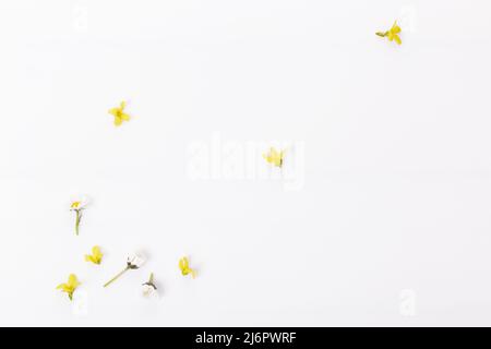 Frühlingsrahmen mit kleinen Blumen und Gänseblümchen, Blumenarrangement im Sommer Stockfoto