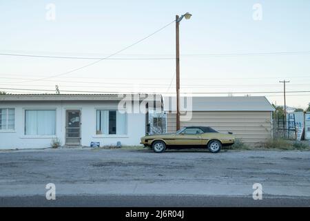 USA, Texas, Marfa, Mustang Stockfoto