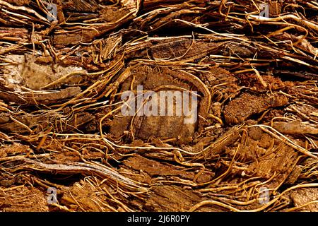 Komprimierter Ballen aus gemahlenem Kokospaltenfasern, Oberflächenhintergrund. Stockfoto