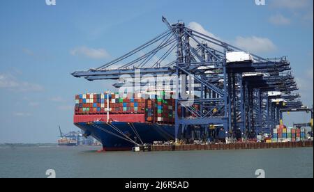 Containerschiff, das in Felixstowe auf suffolk England verladen und entladen wird. Stockfoto