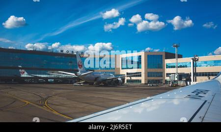 14. August 2018, Moskau, Russland. Flugzeuge am Domodedovo International Airport. Stockfoto