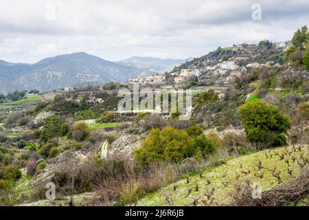 Traditionelle zyprische Landschaft in der Frühsaison mit Weinfeld, Bergen und Dorf auf einem Hügel Stockfoto