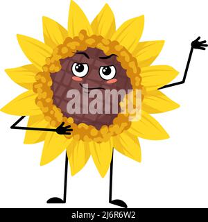 Sonnenblumen-Charakter mit Emotionen des Helden, tapferes Gesicht, Arme und Bein. Pflanze Person mit Mut Ausdruck, gelbe Sonnenblume Emoticon. Vektorgrafik flach Stock Vektor