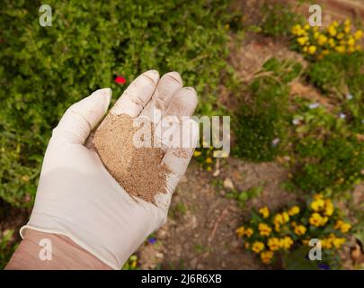 Eine Handvoll Fischblut- und Knochenmehldünger in der Handfläche. Stockfoto