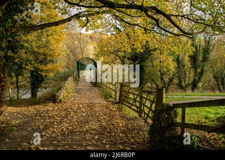 Eine Herbstszene in Buck Lane, Baildon, Yorkshire. Der Fußweg führt hinunter zur Buck Mill Fußgängerbrücke über den Fluss Aire. Buck Woods sind jenseits. Stockfoto