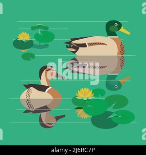 Wild Mallard Enten paar bunte flache Design-Ikone. Niedliche Wasservögel drake, Hühnervögel schwimmend auf Teich Feuchtgebiet Hintergrund. Design-Element „Mallard Ente“ Stock Vektor