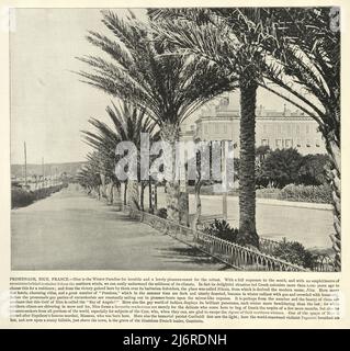 Vintage-Foto von Promenade, Nizza, Frankreich, viktorianisches 19.. Jahrhundert Stockfoto