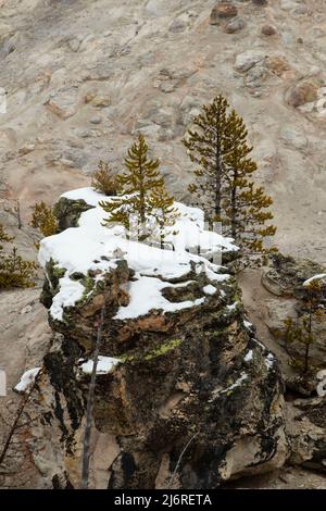 Roaring Mountain, Yellowstone-Nationalpark, Wyoming Stockfoto