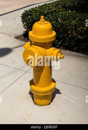 Hydrant auf dem Bürgersteig Miami, Florida, USA Stockfoto