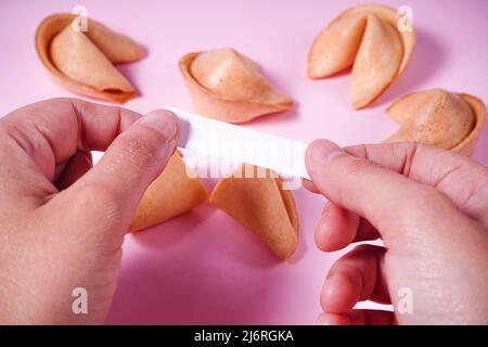 Frau öffnet einen Glückskekse, rosa Hintergrund mit mehreren Cookies. Stockfoto