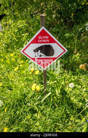 Muss ein Schild unterschreiben, das den Moteristen darüber informiert, dass er sich verlangsamen soll, da es sich um einen Igelbereich handelt. Stockfoto