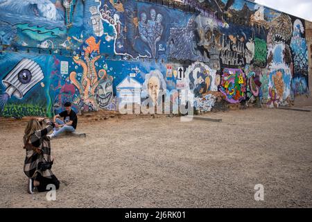 Freak Alley ist ein bemerkenswerter Ort für Wandmalereien, Graffiti und öffentliche Kunst in einer Gasse in der Innenstadt von Boise, Idaho. Das Hotel liegt zwischen der Straße 8. und 9.. Stockfoto