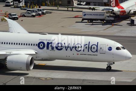Eine Boeing 787 von Japan Airlines führt Taxis am San Francisco International Airport in San Francisco, Kalifornien. Stockfoto