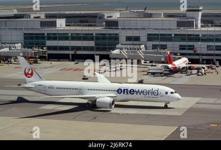 Eine Boeing 787 von Japan Airlines führt Taxis am San Francisco International Airport in San Francisco, Kalifornien. Stockfoto
