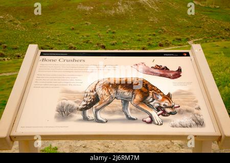 Interpretationboard, Hagerman Fossil Beds National Monument, Idaho Stockfoto