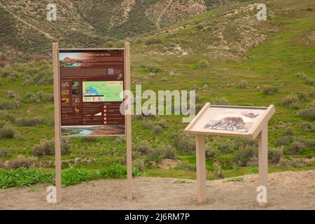 Interpretationboard, Hagerman Fossil Beds National Monument, Idaho Stockfoto